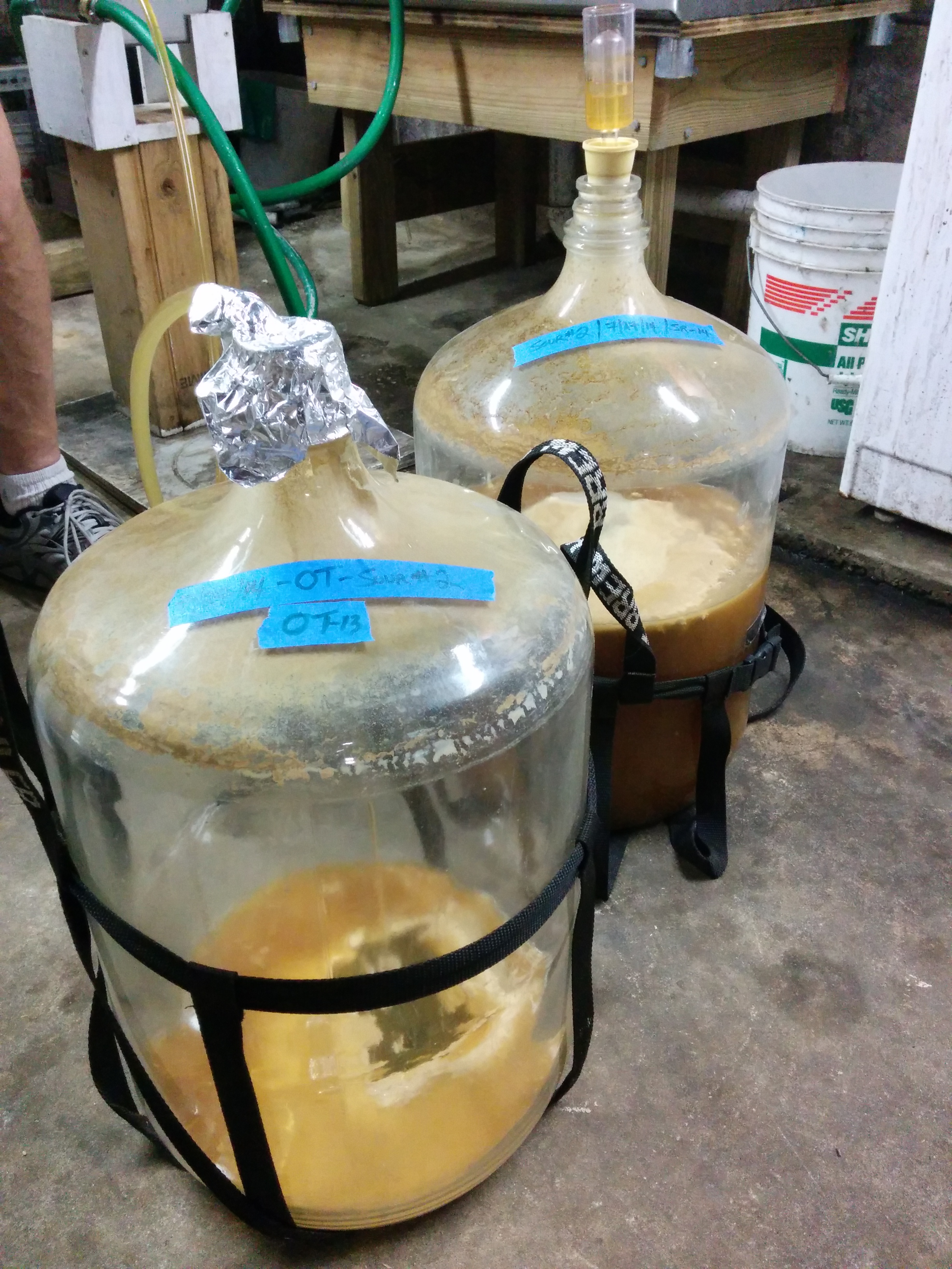 Putting the new wort into the 'dirty' carboys