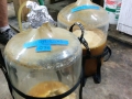 Putting the new wort into the 'dirty' carboys